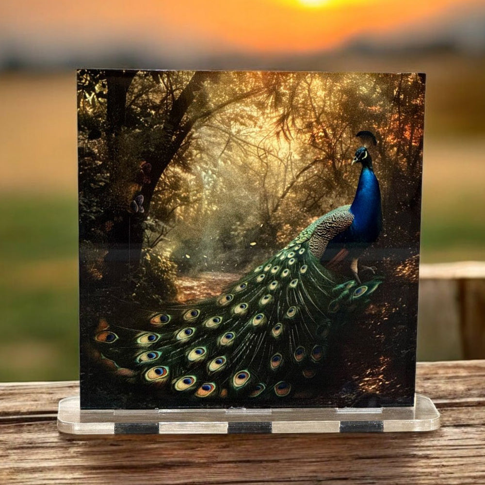 Acrylglasbild Aufsteller 🦚 Malerischer Pfau - 150x150mm