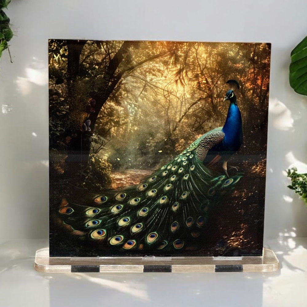 Acrylglasbild Aufsteller 🦚 Malerischer Pfau - 150x150mm